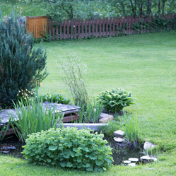 Garden 1 Original RKB by Rödi pixelio